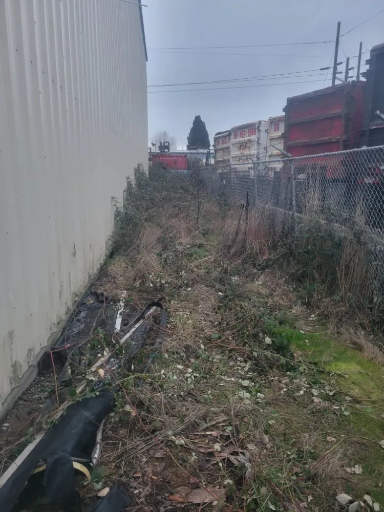 Local landscape design in Longview, WA by Wipplingers Lawn In Order