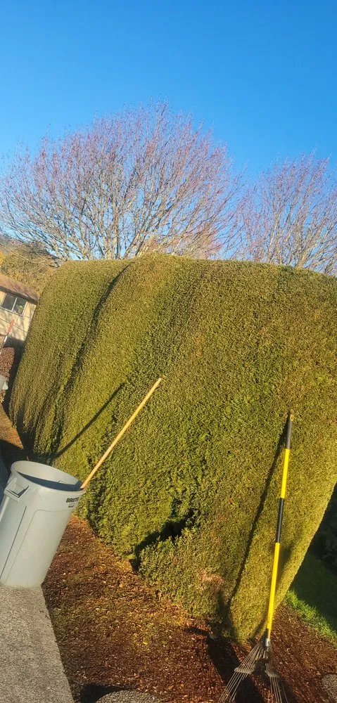 Reliable landscaping services for year-round maintenance in Longview, WA by Wipplingers Lawn In Order