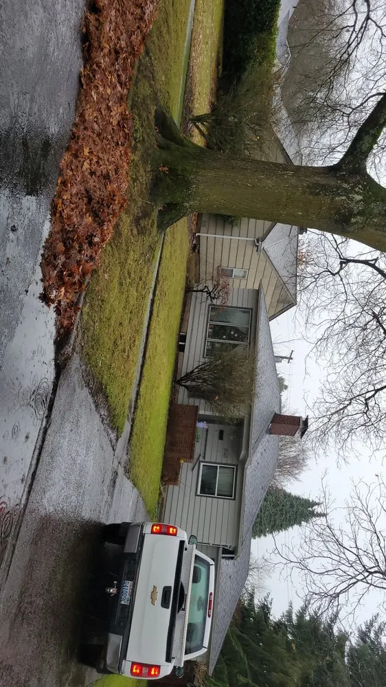 Top-rated garden landscaping with custom design in Longview, WA by Wipplingers Lawn In Order