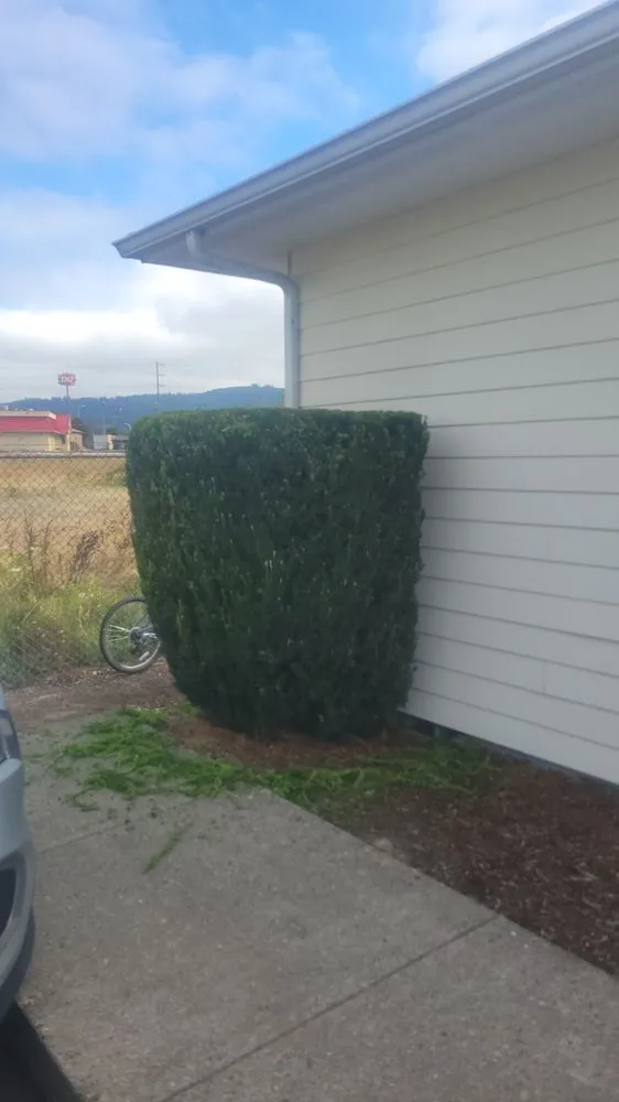 Custom outdoor landscaping in Longview, WA - Wipplingers Lawn In Order