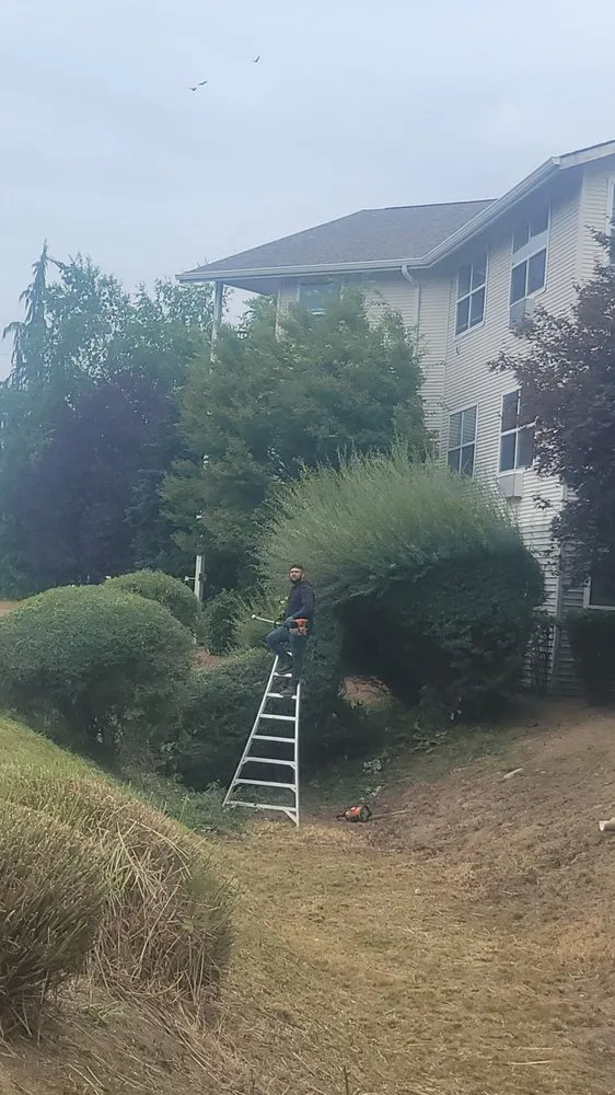 Expert landscaping services for beautiful yards in Longview, WA by Wipplingers Lawn In Order