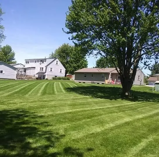 Top-rated yard cleanup service for homes across Galion, OH - Wireman's Pro Lawn