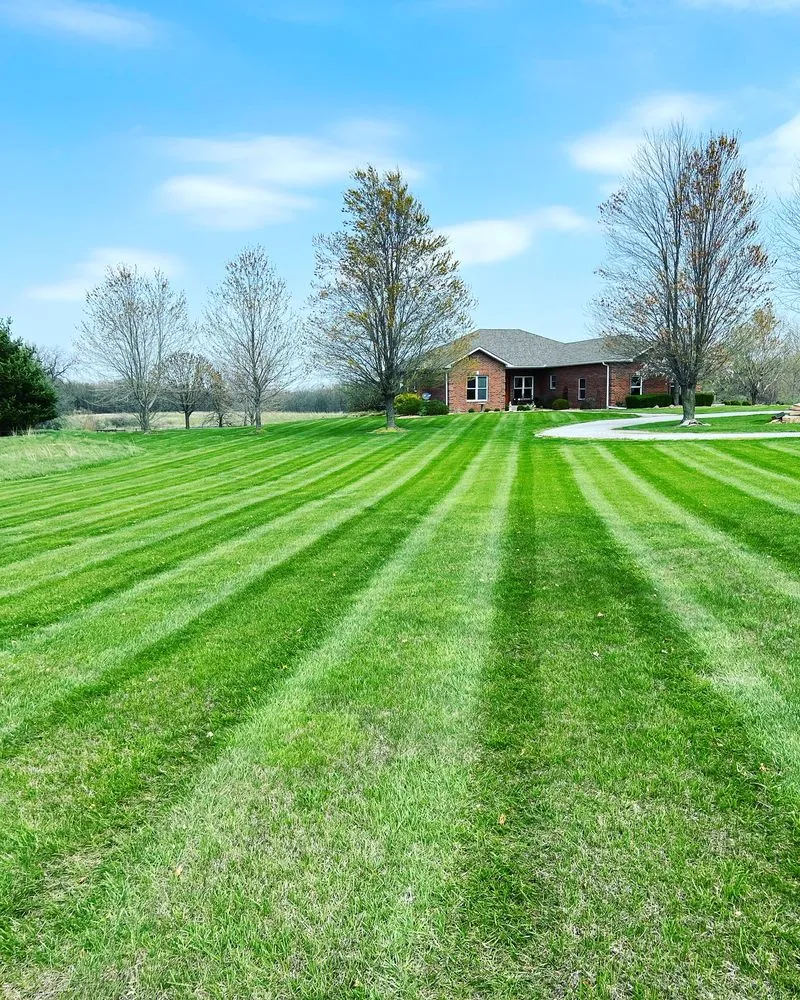 Affordable yard cleanup service in Clinton, MO by Wirsig Lawn & Landscape