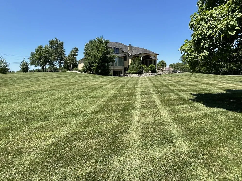 Affordable yard cleanup service experts serving Clinton, MO - Wirsig Lawn & Landscape