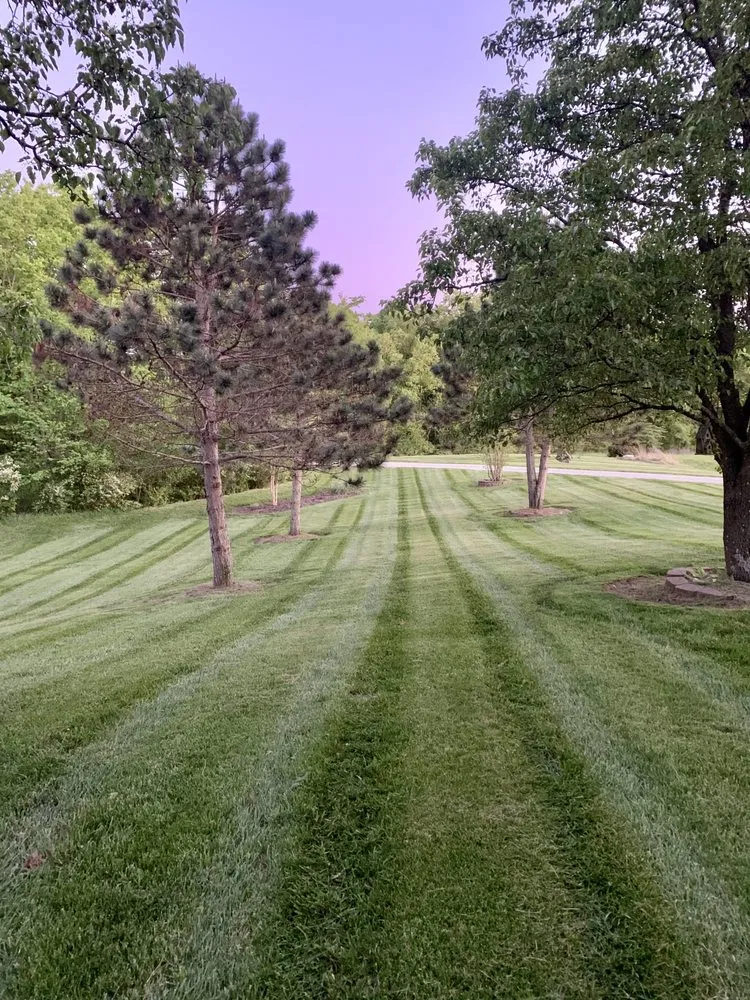 Custom lawn care service in Waterloo, IL - Wirth Lawn Solutions