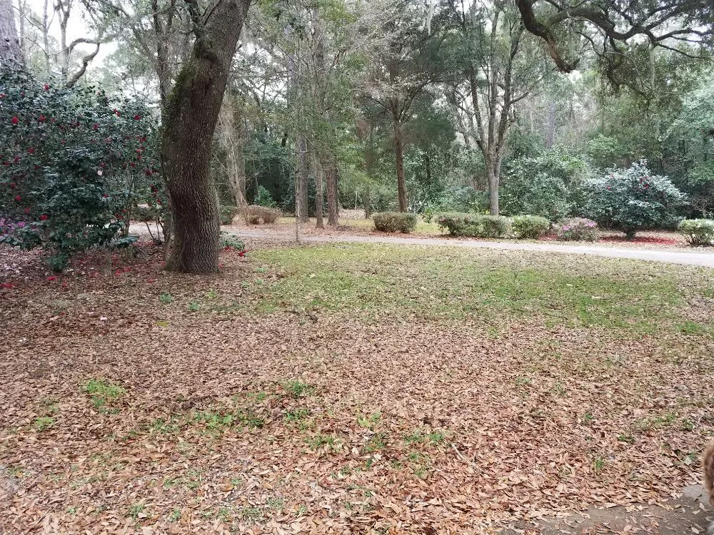 Expert outdoor landscaping for residential properties across Summerdale, AL - Wirth's Lawn Care