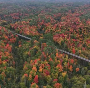 Professional garden landscaping experts serving Stoughton, WI - Wisco Aerial & Ground Services