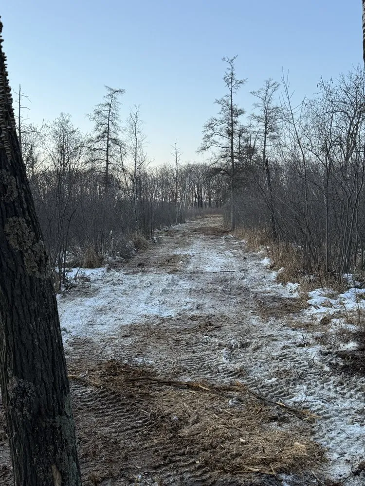 Professional outdoor landscaping in Waupaca, WI by Wisconsin Land Solutions