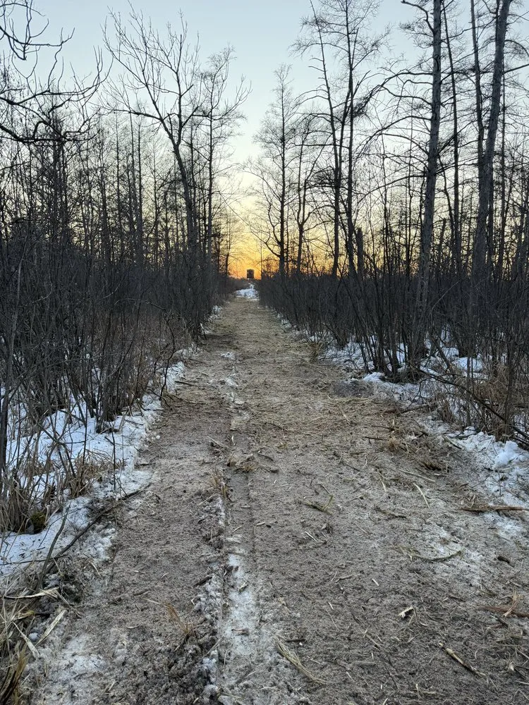 Local lawn mowing service experts serving Waupaca, WI - Wisconsin Land Solutions