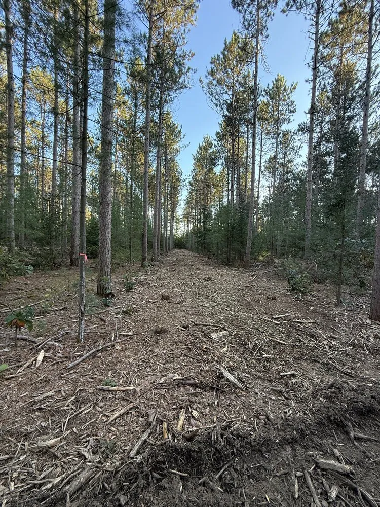 Local landscape installation in Waupaca, WI - Wisconsin Land Solutions