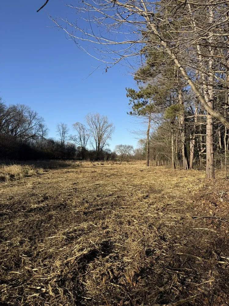 Reliable yard cleanup service in Waupaca, WI by Wisconsin Land Solutions