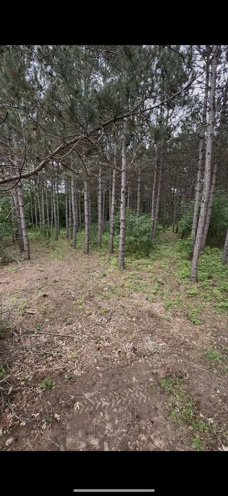 Custom lawn mowing service for homes across Waupaca, WI - Wisconsin Land Solutions