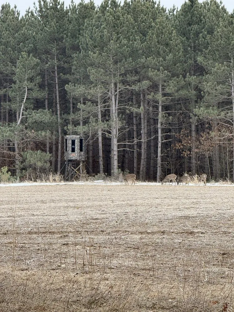 Local outdoor landscaping for year-round maintenance across Waupaca, WI - Wisconsin Land Solutions