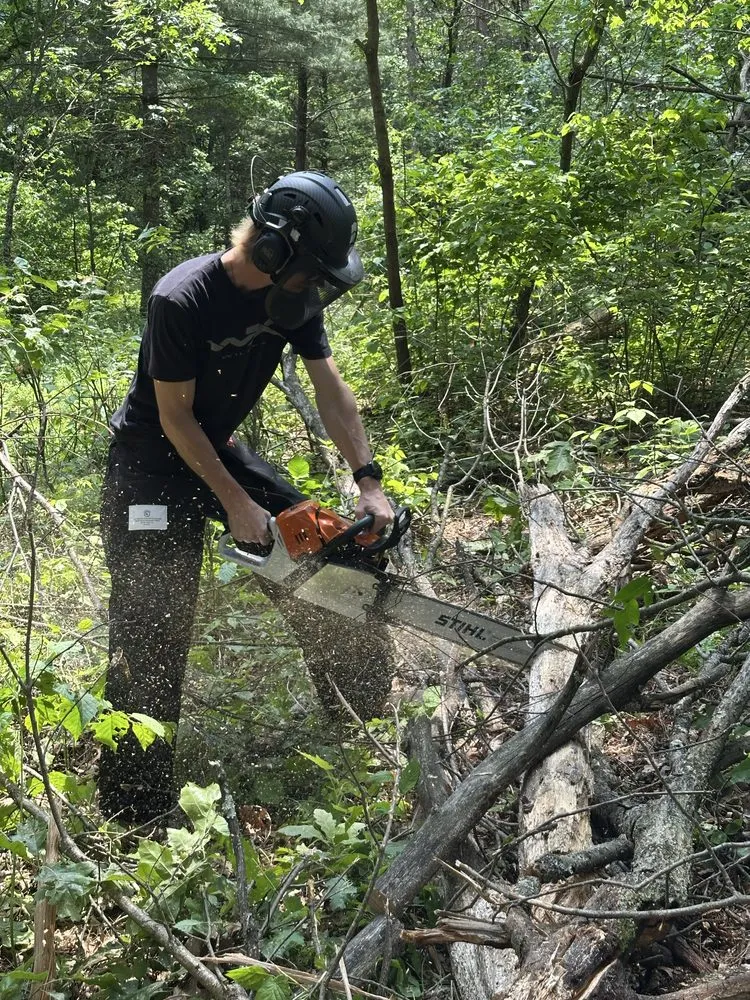 Trusted landscaping services in Waupaca, WI by Wisconsin Land Solutions