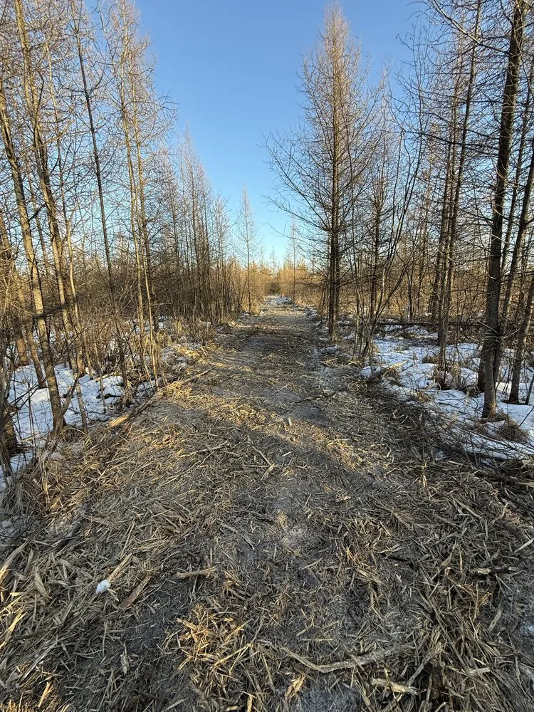 Top-rated lawn mowing service in Waupaca, WI - Wisconsin Land Solutions