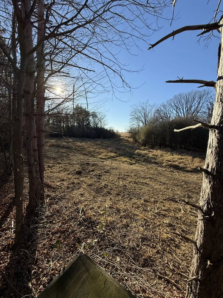 Custom lawn mowing service for homes across Waupaca, WI - Wisconsin Land Solutions