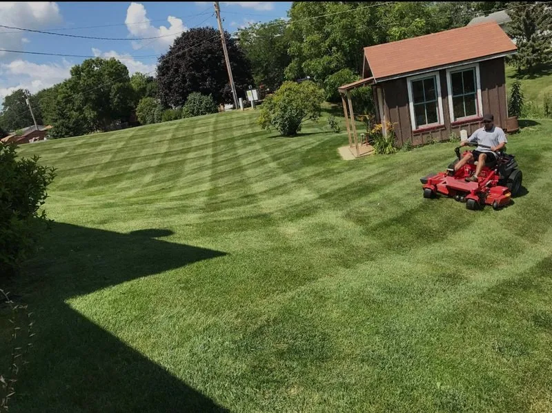 Reliable landscaping services in Dodgeville, WI - Wisconsin Lawn Care Company