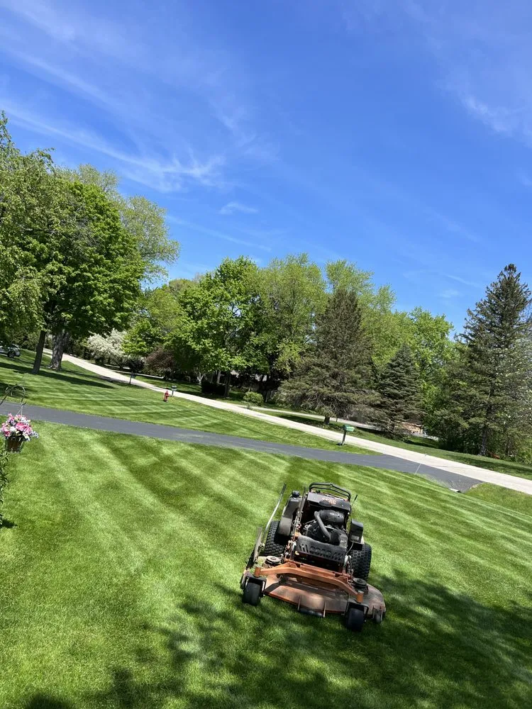 Trusted yard cleanup service in Menomonee Falls, WI by Wisconsin Roots