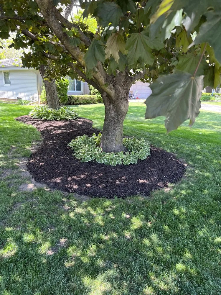 Reliable landscaping services for beautiful yards across Menomonee Falls, WI - Wisconsin Roots