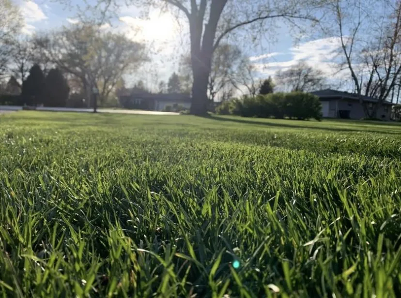 Professional landscape design experts serving Menomonee Falls, WI - Wisconsin Roots