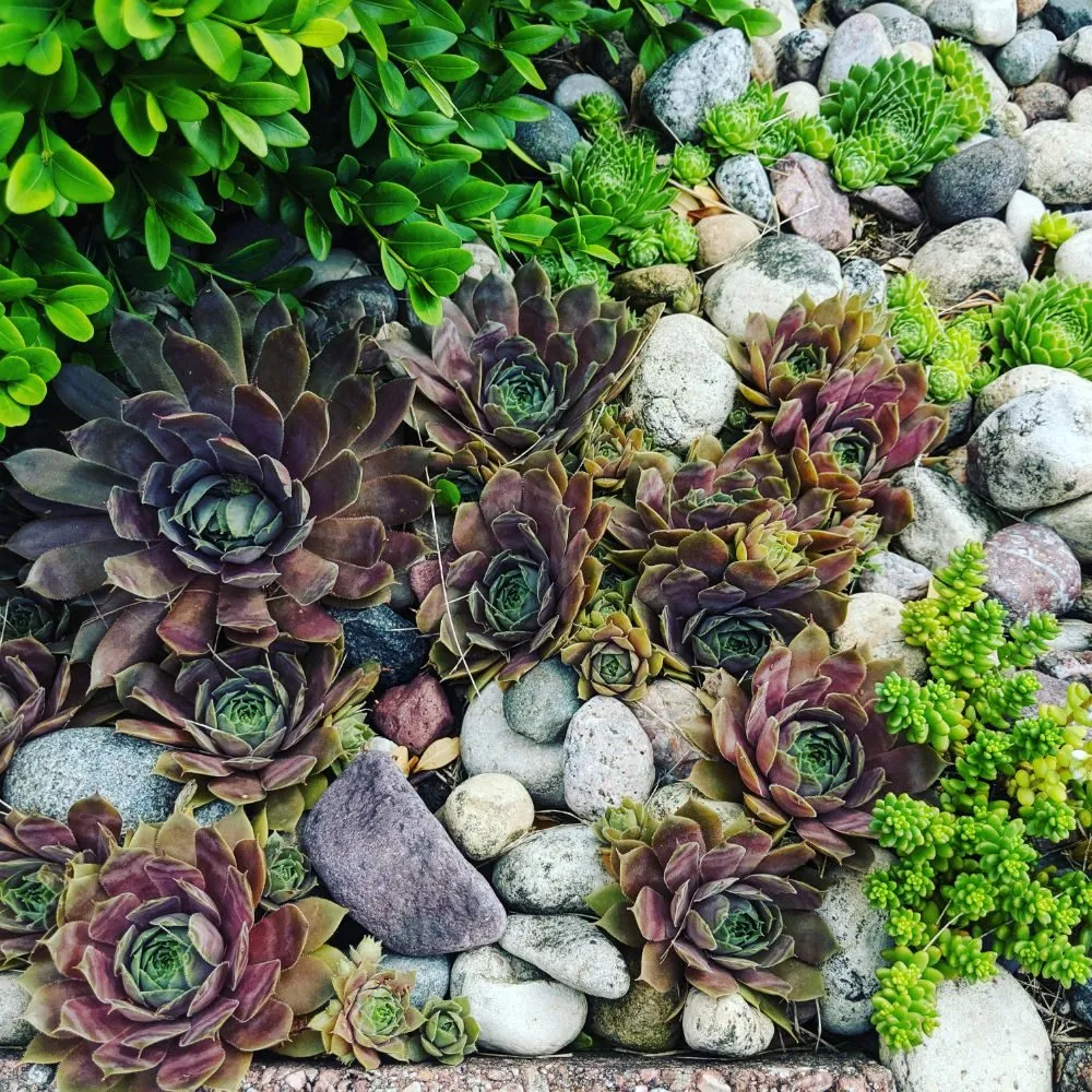 Expert residential landscaping in Saukville, WI - Wisconsin Wonder Garden