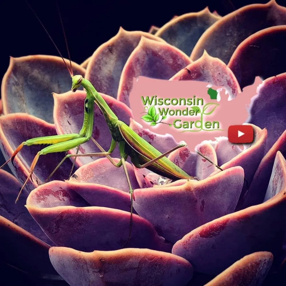 Affordable outdoor landscaping experts serving Saukville, WI - Wisconsin Wonder Garden