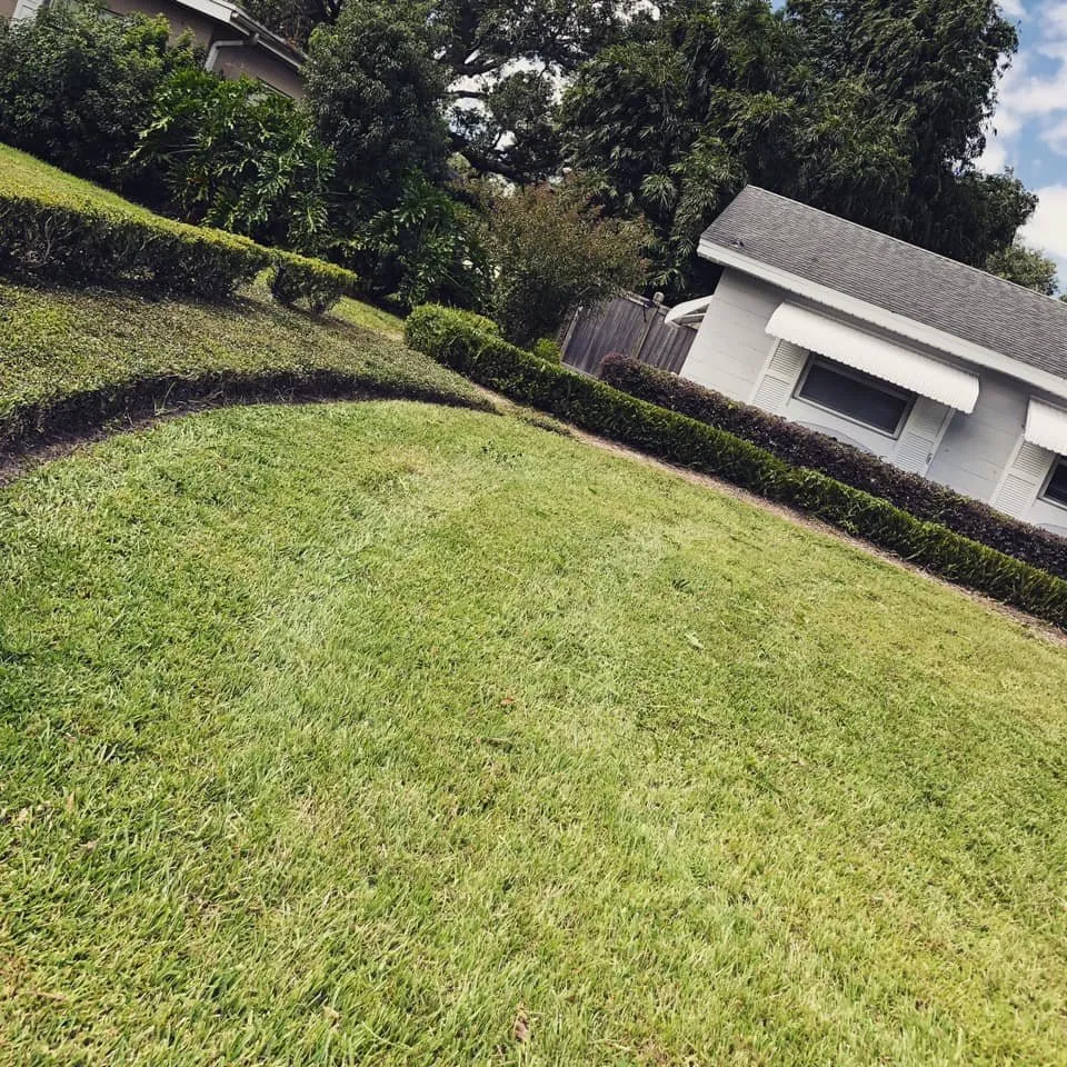 Expert yard maintenance in Winter Garden, FL by Wisdom Landscaping Service