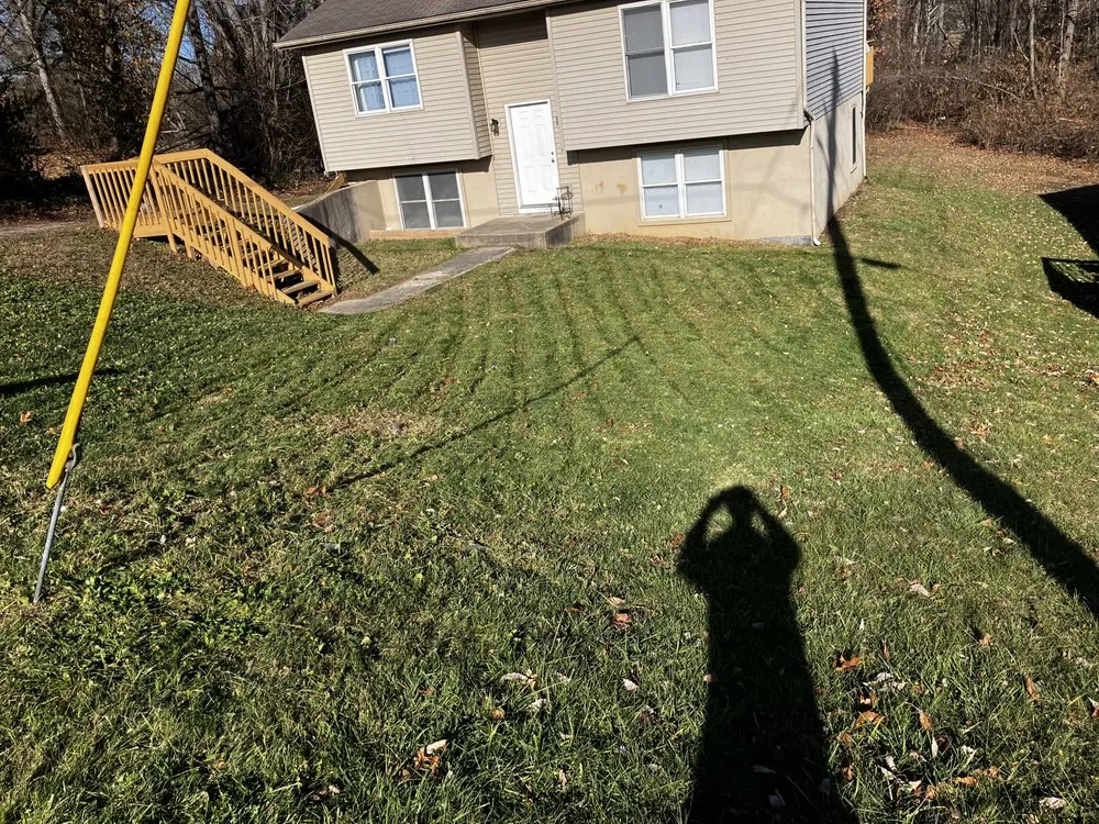 Trusted yard maintenance near you in Bloomington, IN by Wise Bird Company