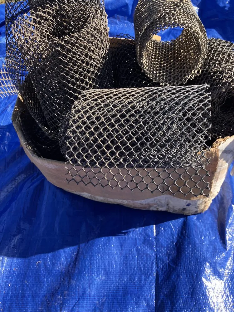 Reliable yard maintenance in Bloomington, IN by Wise Bird Company