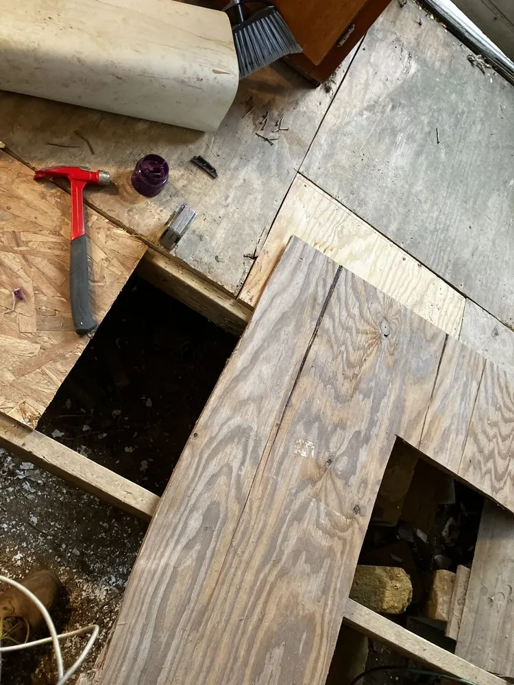 Trusted lawn care service for residential properties across Bloomington, IN - Wise Bird Company