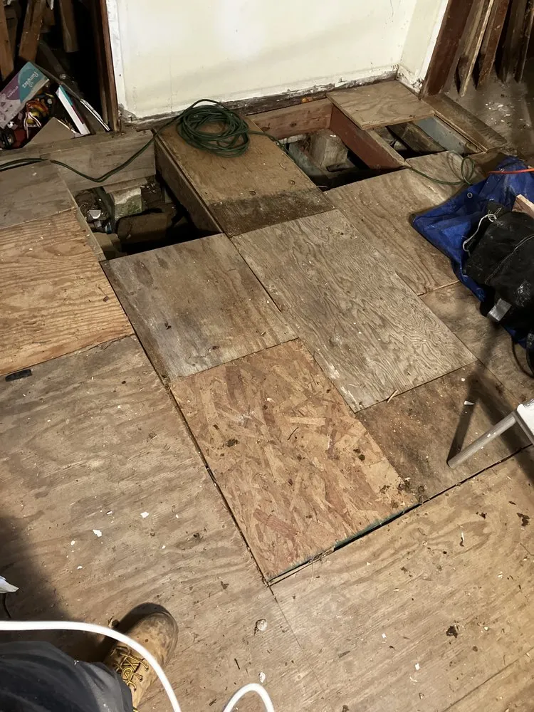 Custom outdoor landscaping for residential properties in Bloomington, IN by Wise Bird Company