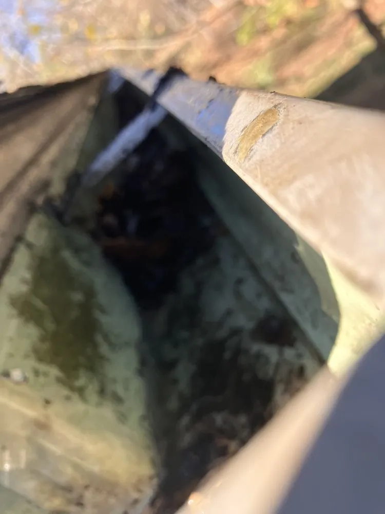 Reliable yard maintenance experts serving Bloomington, IN - Wise Bird Company