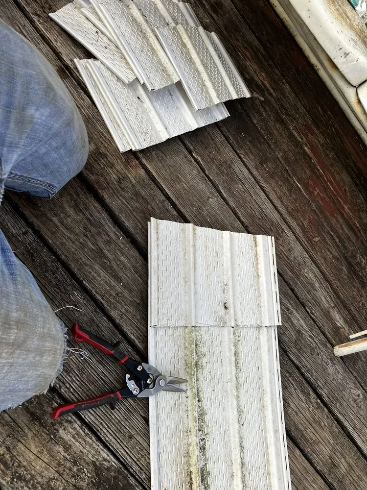 Custom lawn care service for beautiful yards in Bloomington, IN by Wise Bird Company