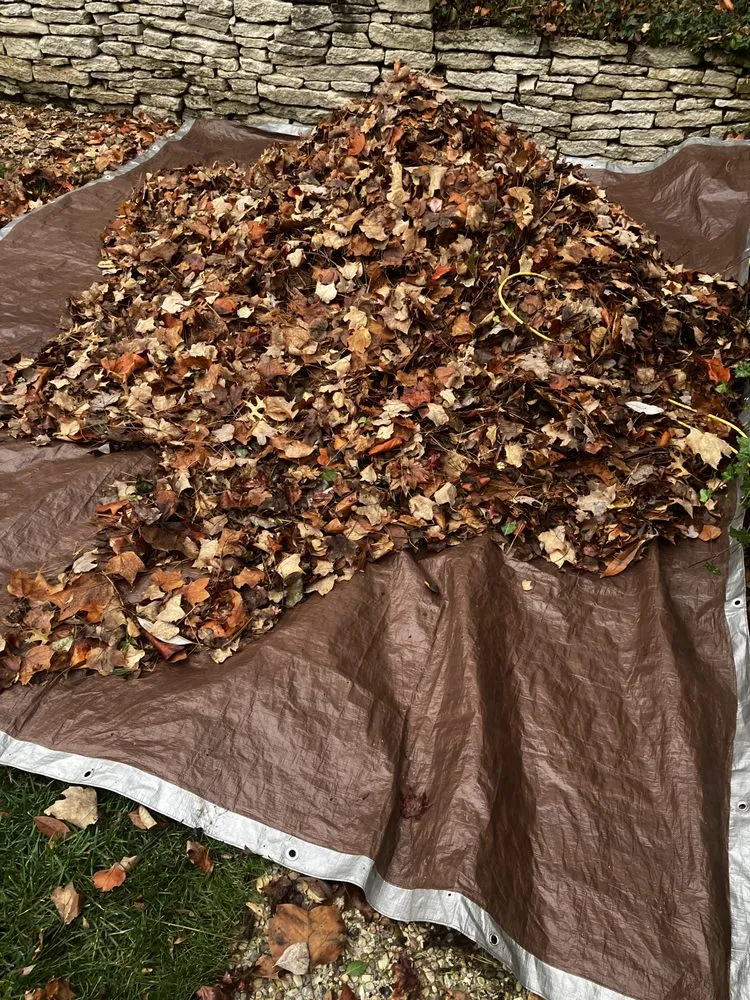 Professional landscaping services in Bloomington, IN - Wise Bird Company