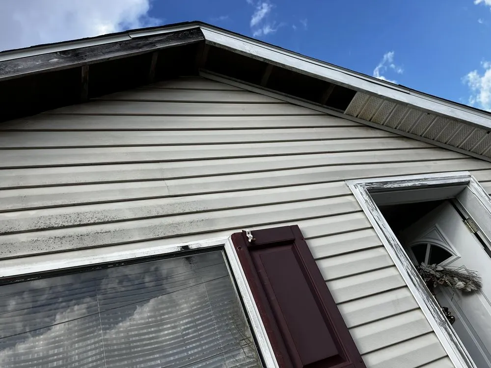 Top-rated yard cleanup service experts serving Bloomington, IN - Wise Bird Company