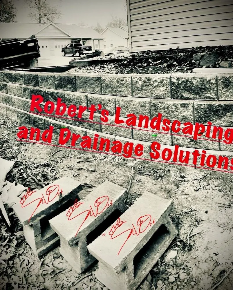 Top-rated yard maintenance experts serving Bloomington, IN - Wise Bird Company