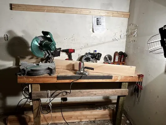 Wise Bird Company Logo