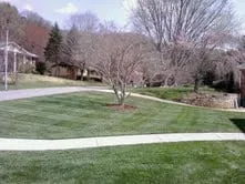 Custom landscape installation in Candler, NC - Wise Choice Lawn Care & Landscaping