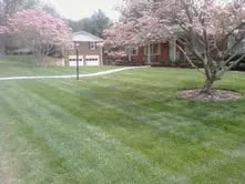 Affordable lawn mowing service for outdoor upgrades across Candler, NC - Wise Choice Lawn Care & Landscaping