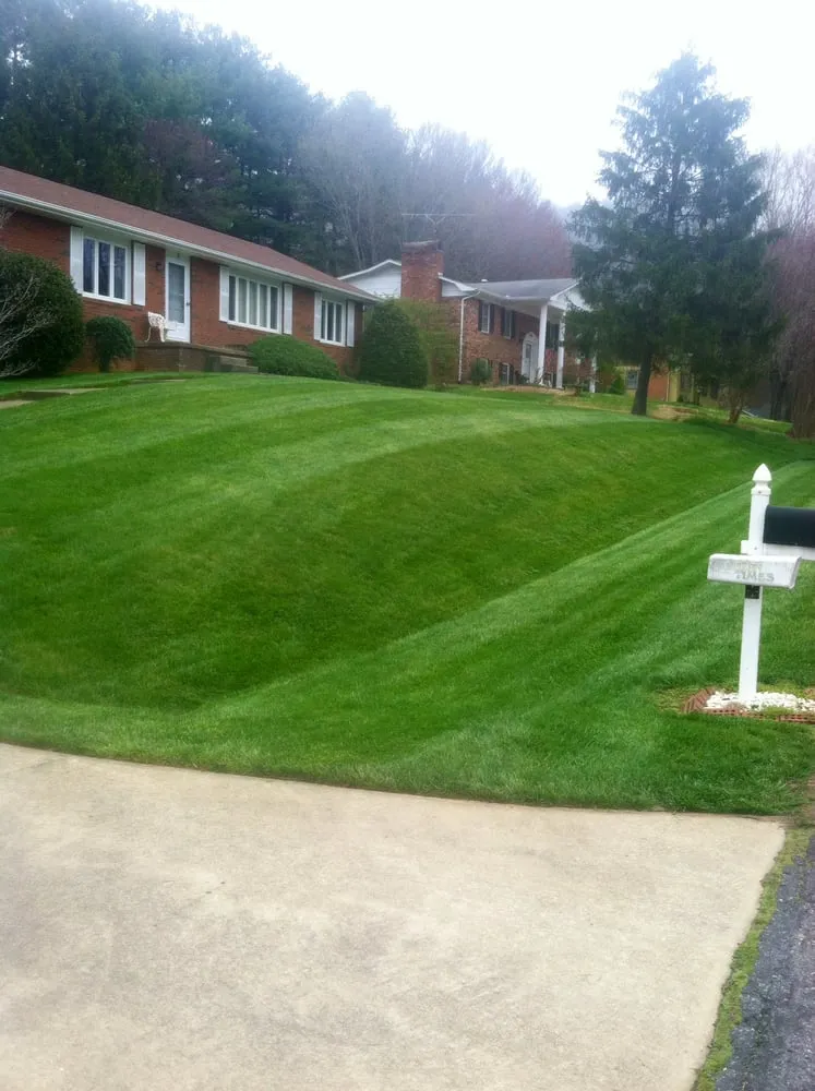 Affordable yard cleanup service experts serving Candler, NC - Wise Choice Lawn Care & Landscaping