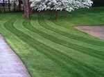 Reliable landscaping services in Candler, NC - Wise Choice Lawn Care & Landscaping