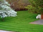 Affordable landscaping services in Candler, NC - Wise Choice Lawn Care & Landscaping