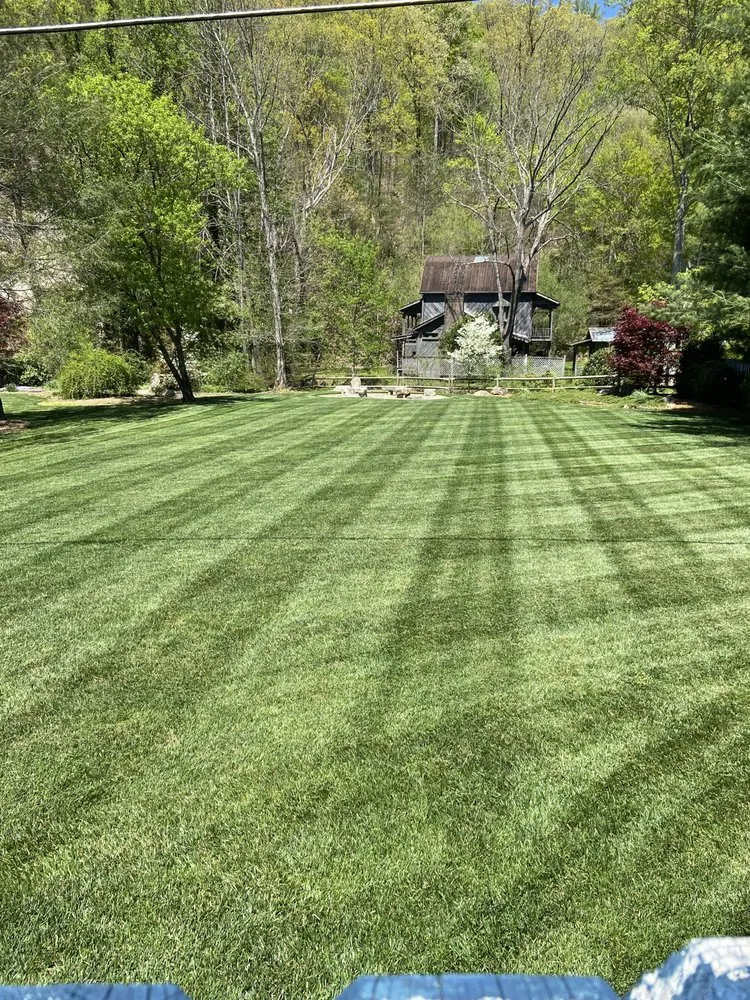 Professional residential landscaping for beautiful yards across Candler, NC - Wise Choice Lawn Care & Landscaping
