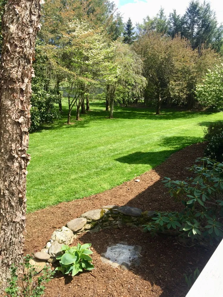 Professional yard cleanup service for beautiful yards in Candler, NC by Wise Choice Lawn Care & Landscaping