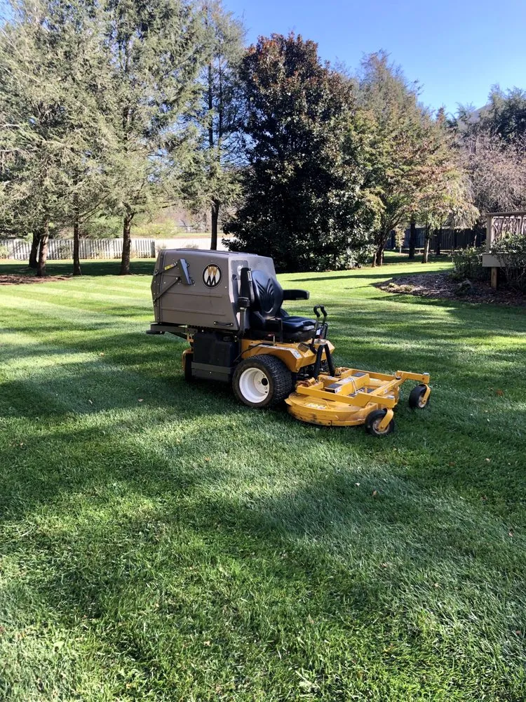 Professional yard cleanup service for year-round maintenance in Candler, NC by Wise Choice Lawn Care & Landscaping