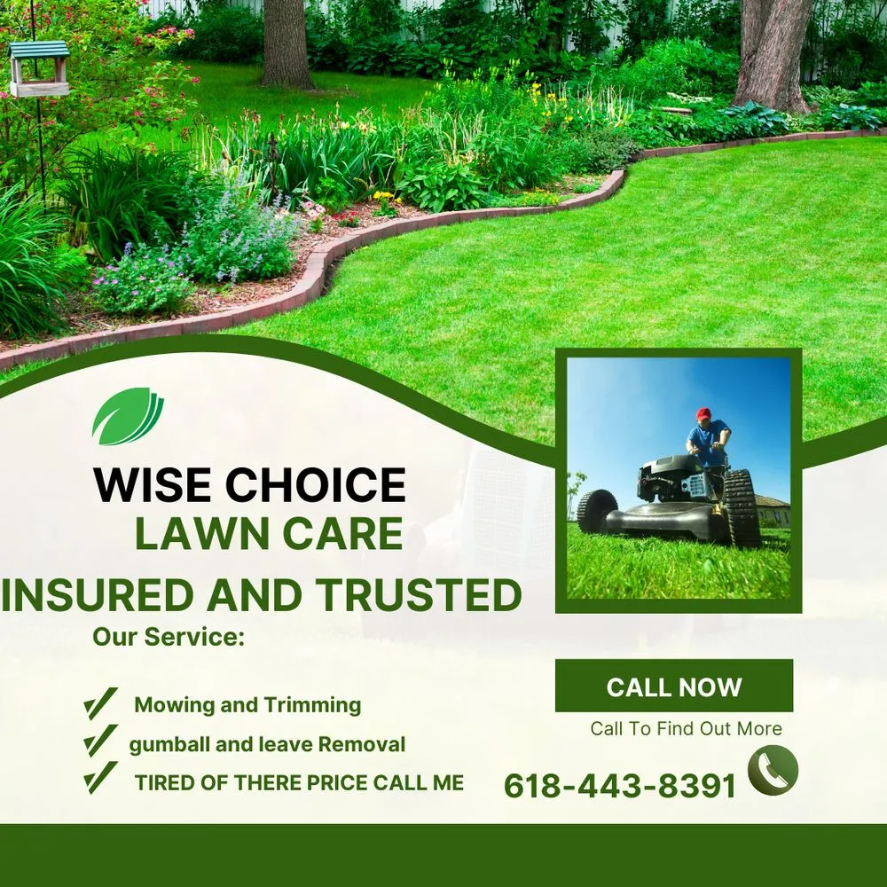 Trusted landscape installation in Tamaroa, IL - Wise Choice Lawn Care