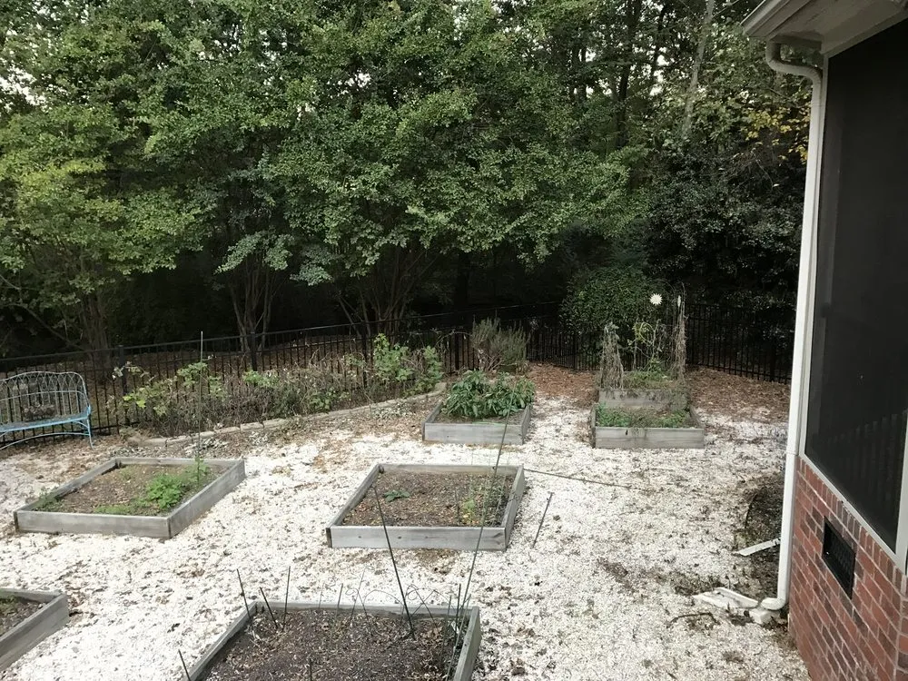 Custom lawn care service in Kannapolis, NC by Wise Cut Landscaping