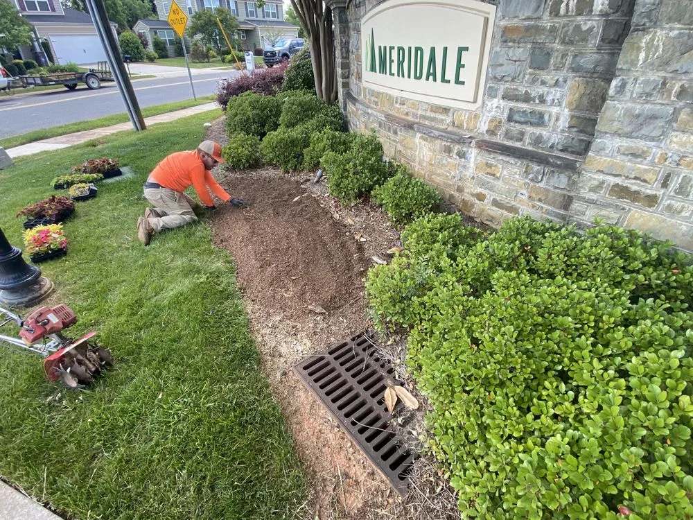 Reliable landscaping services for beautiful yards in Kannapolis, NC by Wise Cut Landscaping