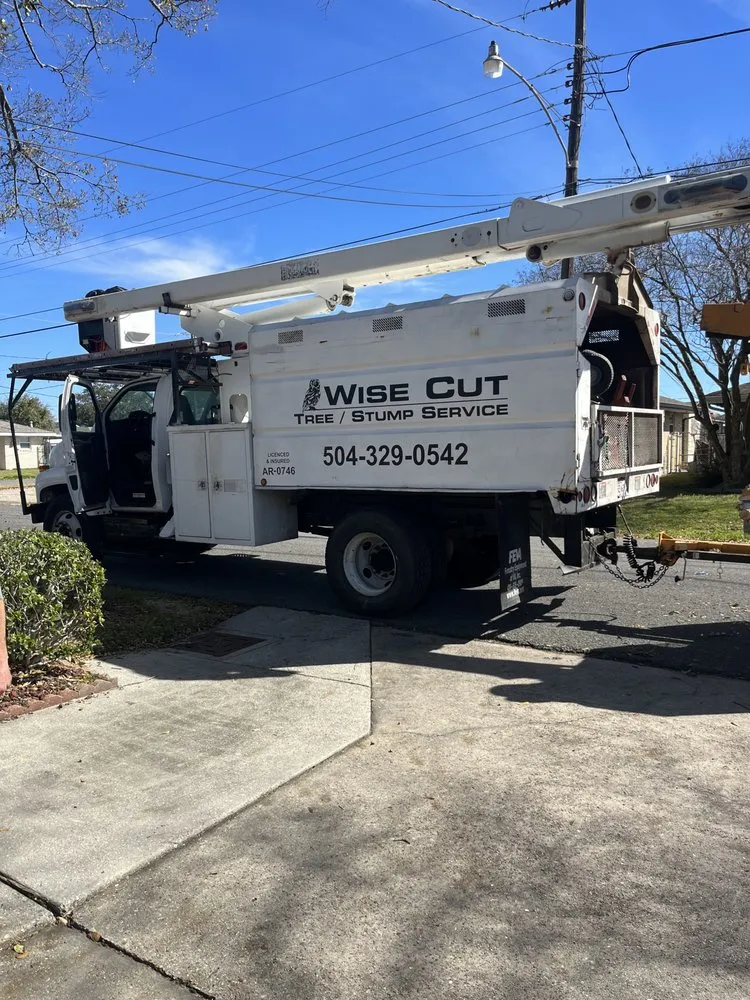 Custom landscape installation in Terrytown, LA by Wise Cut Tree Service