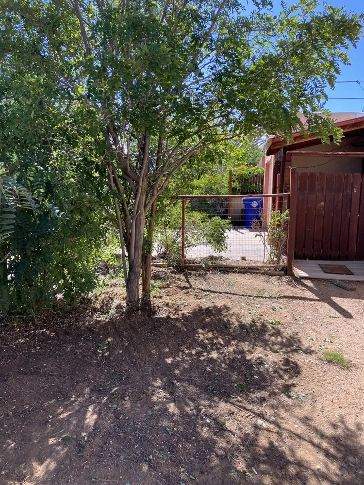 Local yard maintenance for outdoor upgrades across Albuquerque, NM - Wise Home Improvements